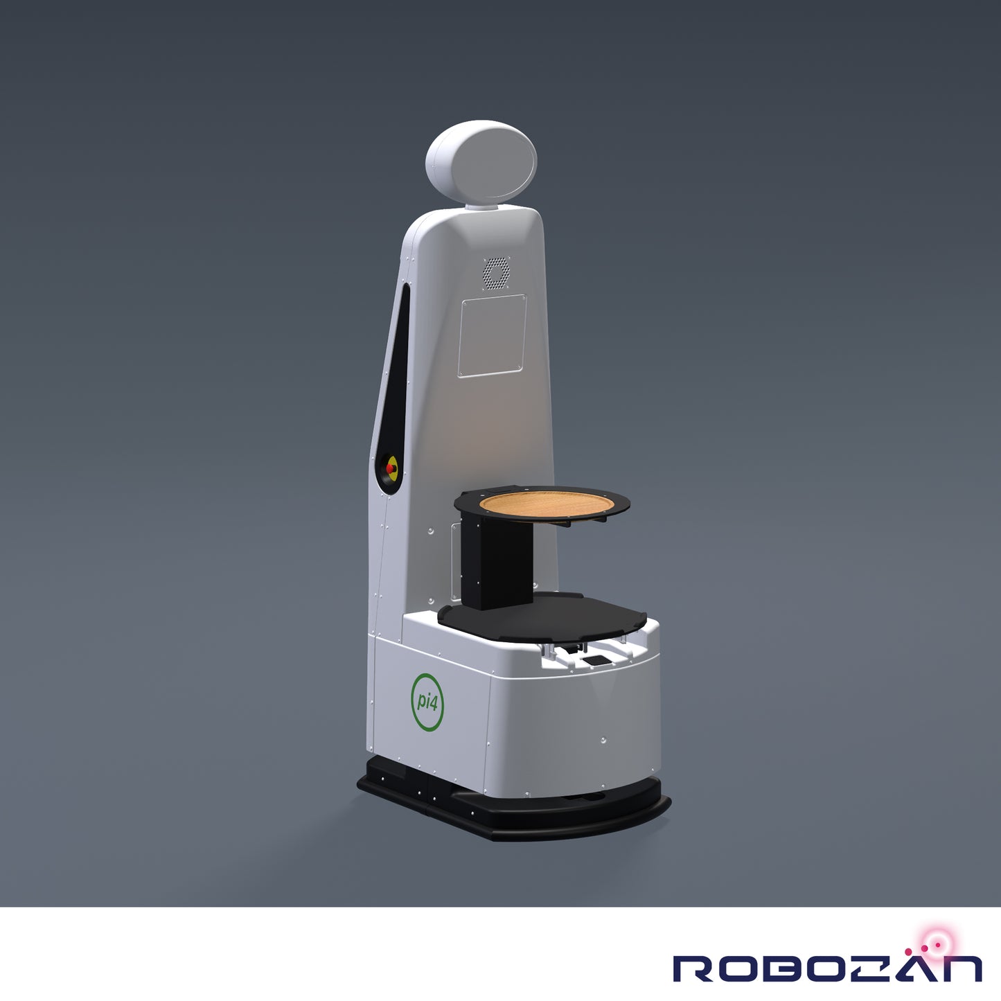 Workerbot9 M3-r2: Tablett-Modul "Miete"