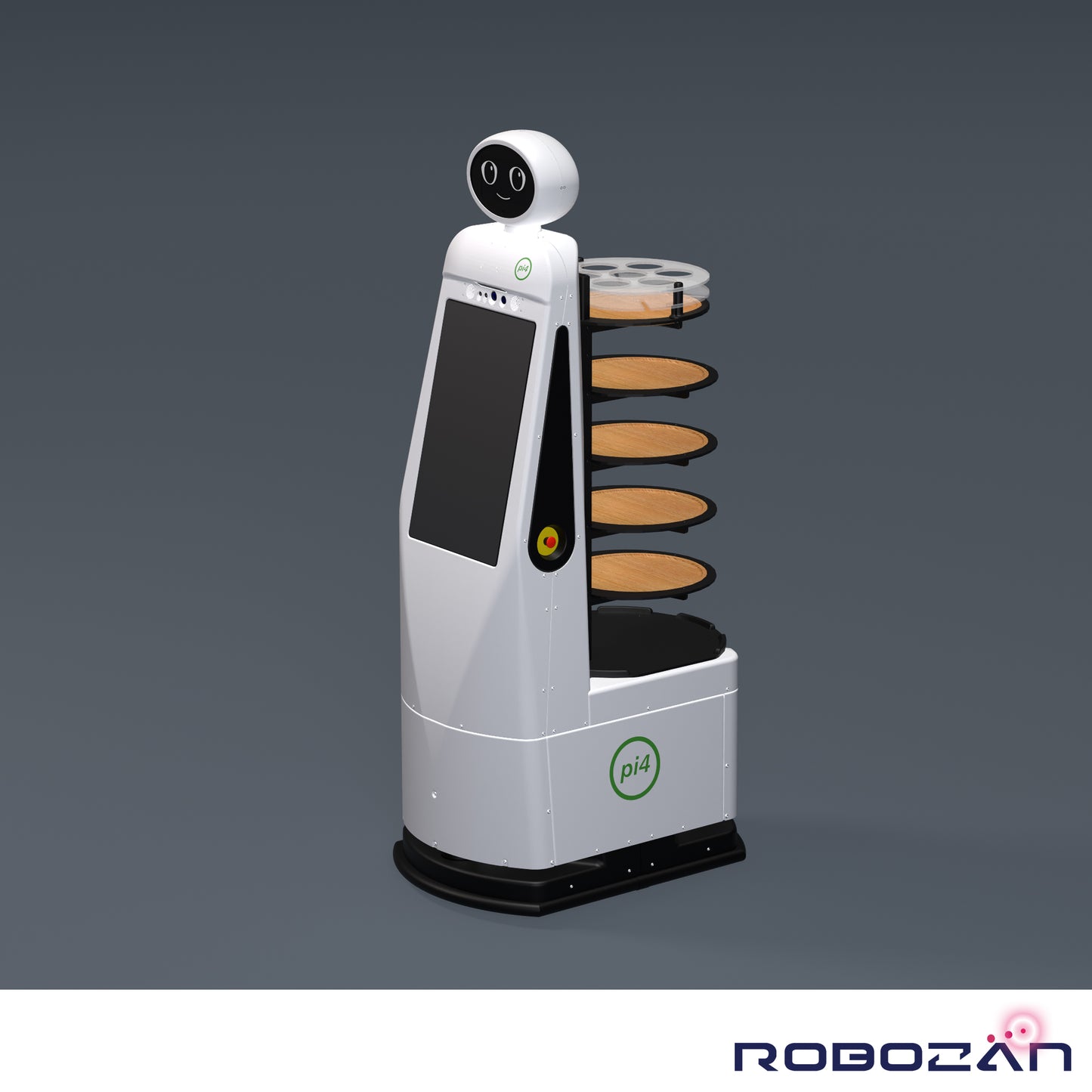 Workerbot9 M20-r6: Tablett-Modul